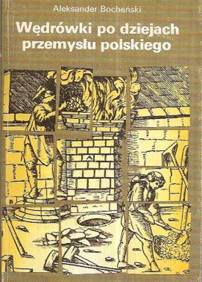 Aleksander Bocheński - Wędrówki po dziejach przemysłu polskiego. Tom 1
