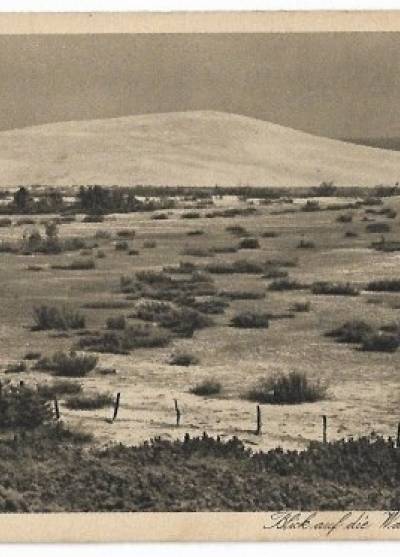 Kurische Nehrung - Blick auf die Wanderdune bei Rossiten (1932)